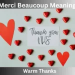 Merci Beaucoup Meaning