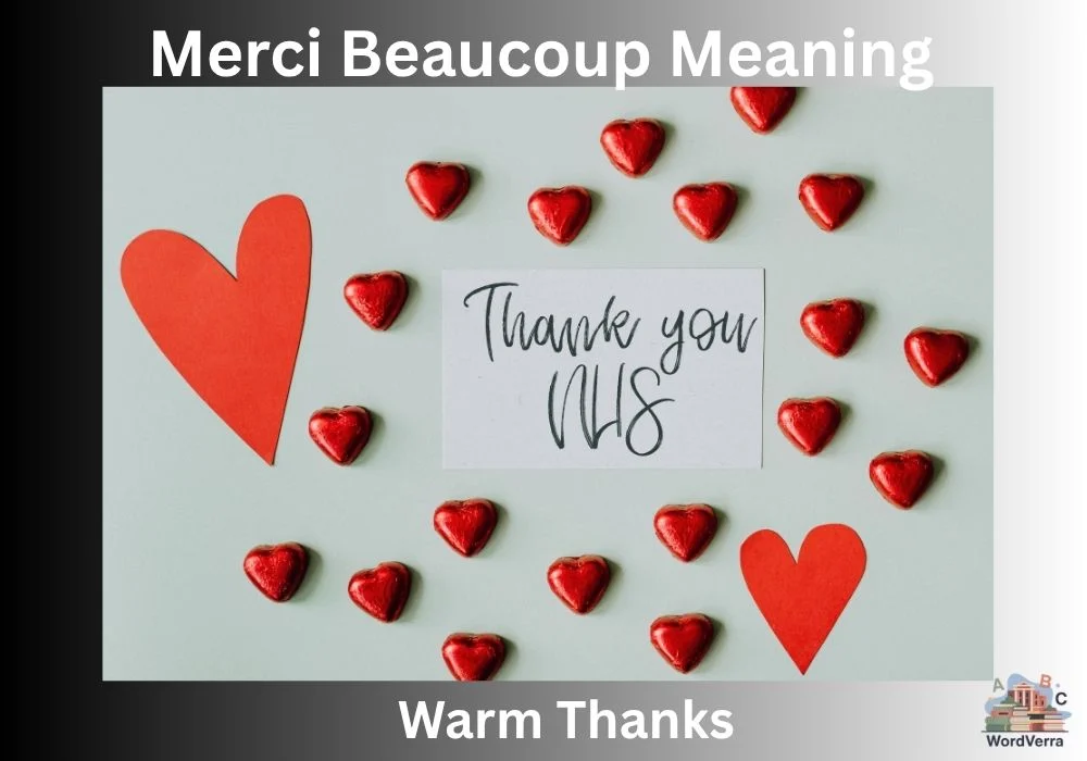 Merci Beaucoup Meaning