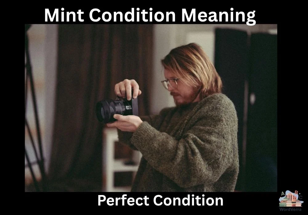Mint Condition Meaning