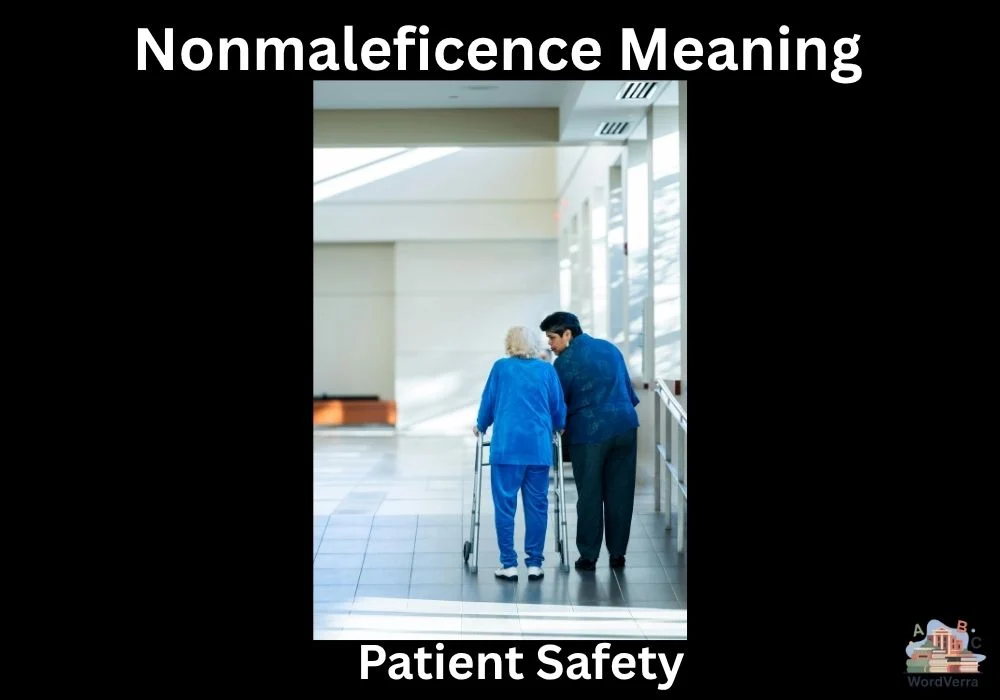 Nonmaleficence Meaning