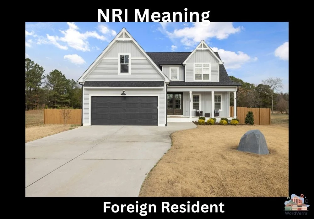 NRI Meaning