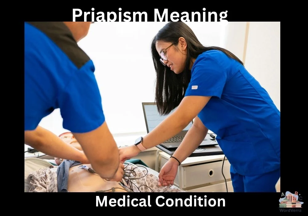 Priapism Meaning
