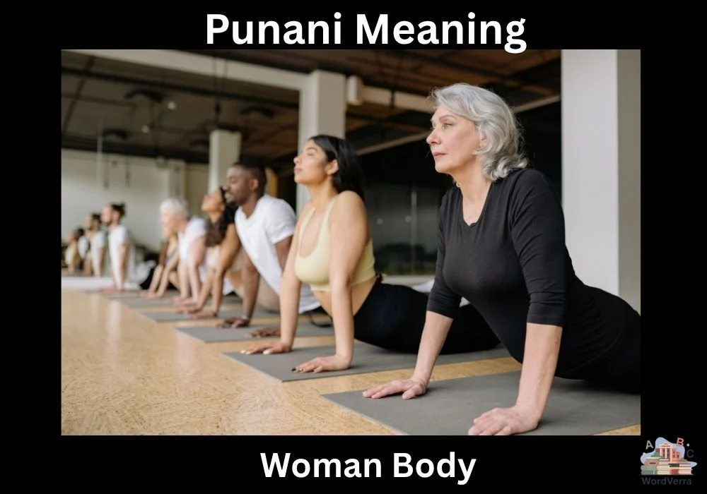 Punani Meaning