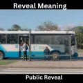 Reveal Meaning