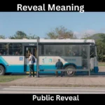 Reveal Meaning