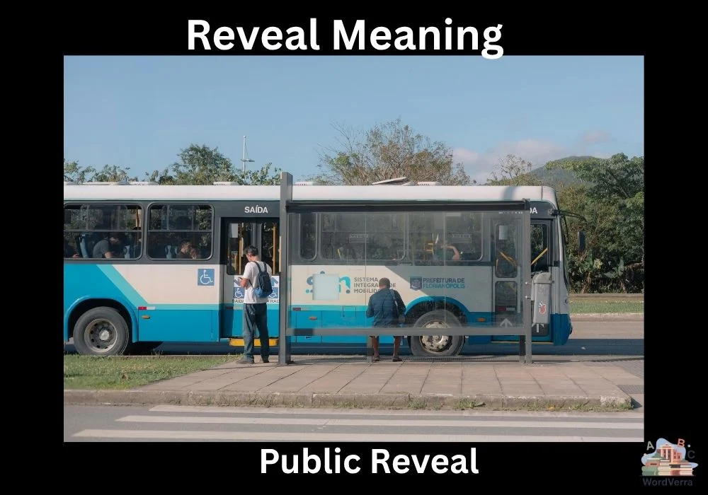 Reveal Meaning