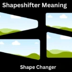 Shapeshifter Meaning