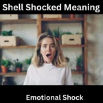 Shell Shocked Meaning