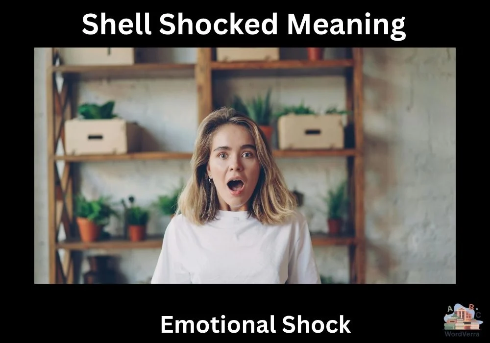 Shell Shocked Meaning