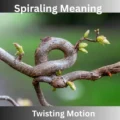 Spiraling Meaning