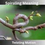 Spiraling Meaning
