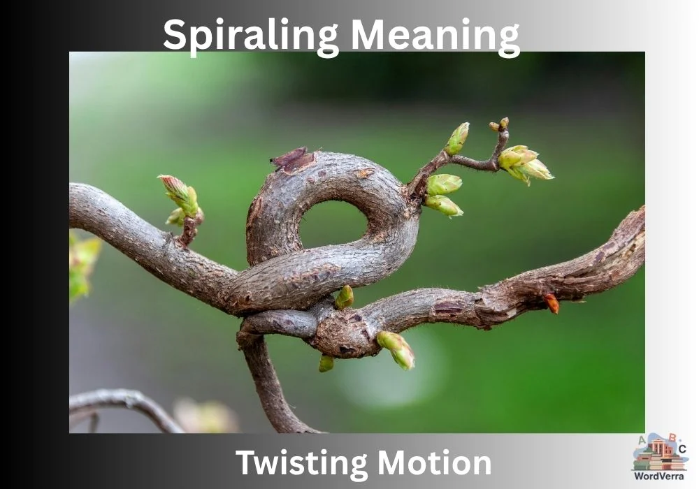 Spiraling Meaning
