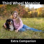 Third Wheel Meaning