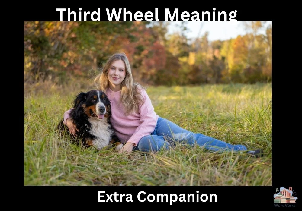 Third Wheel Meaning