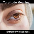 Turpitude Meaning