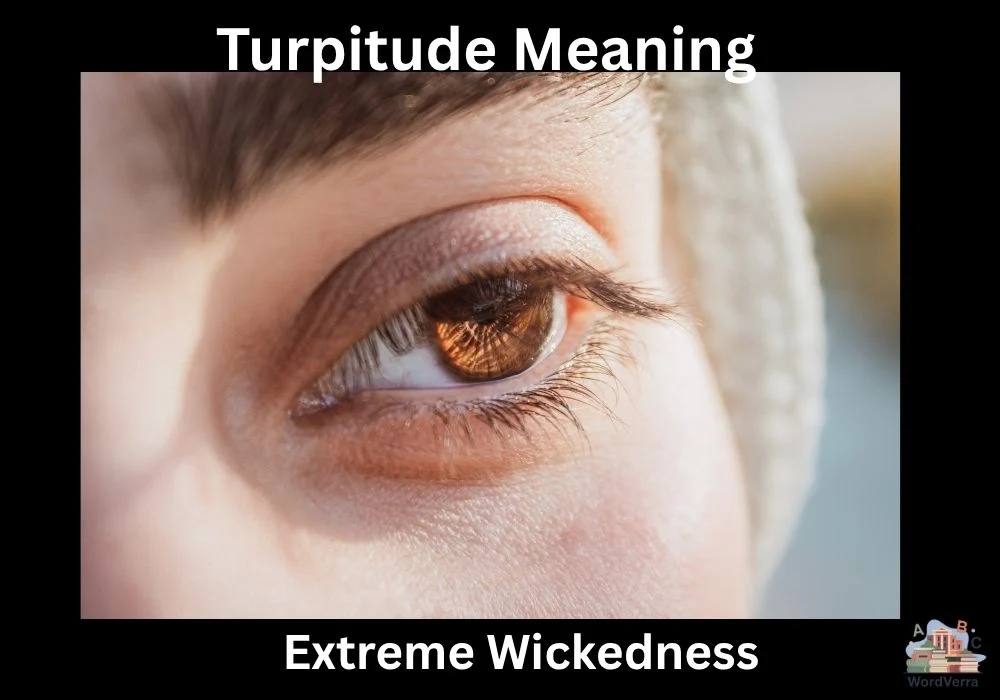 Turpitude Meaning