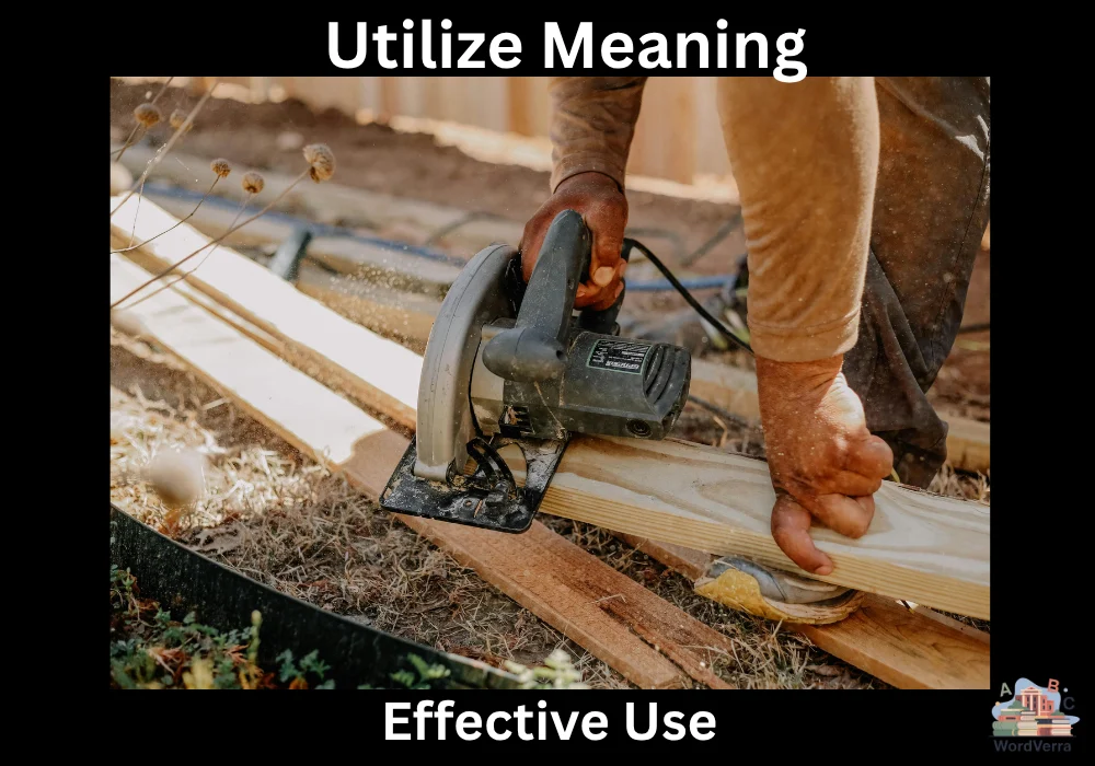 Utilize Meaning