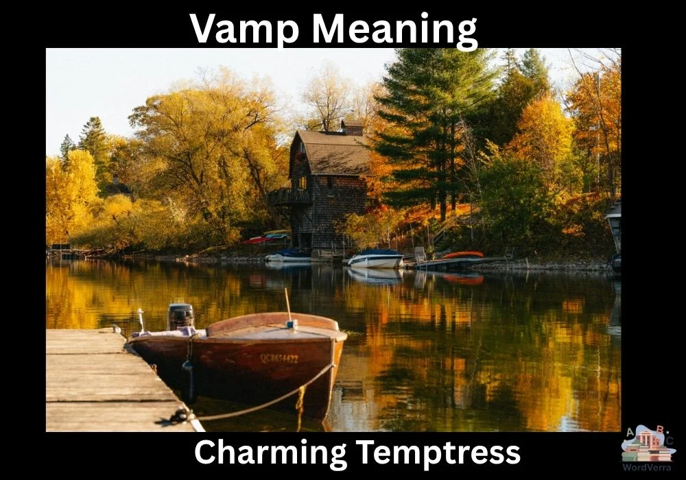 Vamp Meaning