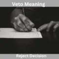 Veto Meaning