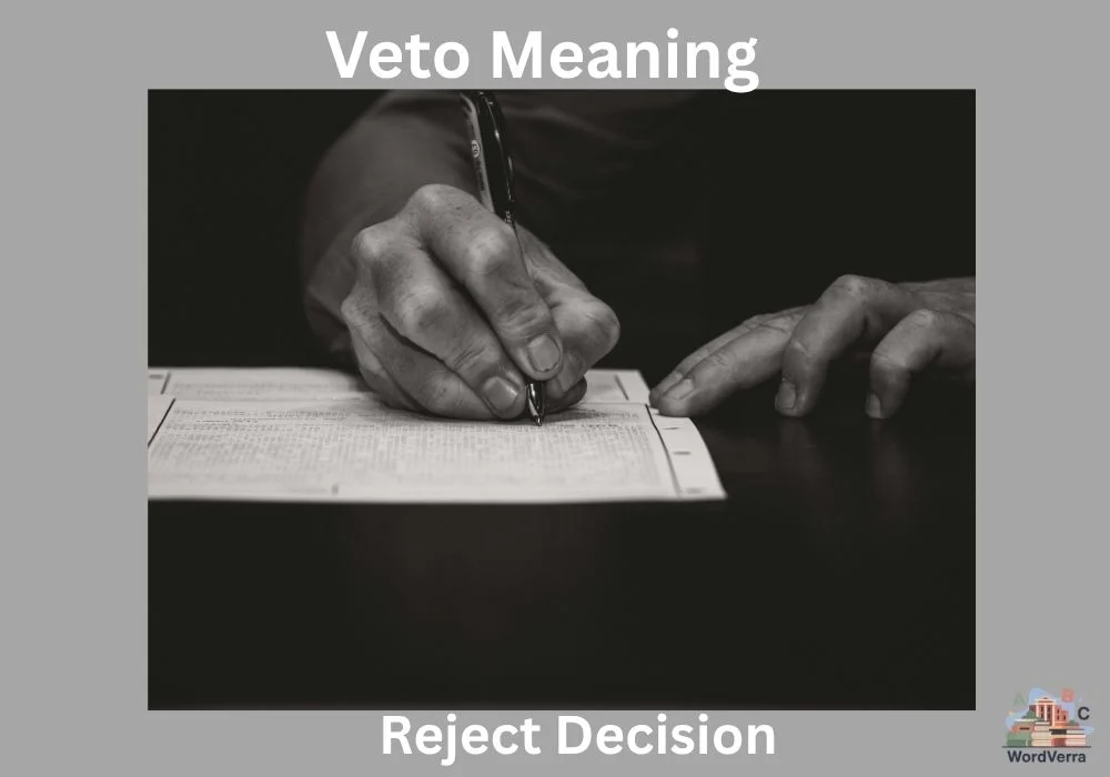 Veto Meaning