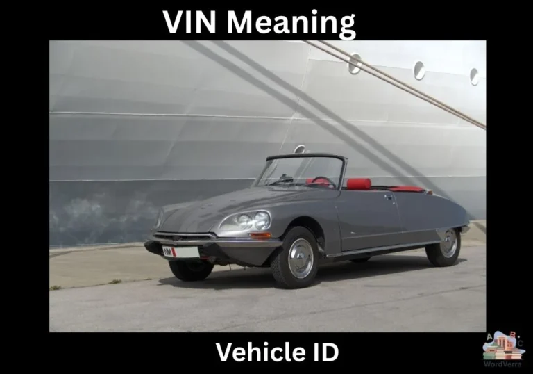 VIN Meaning