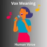 Vox Meaning