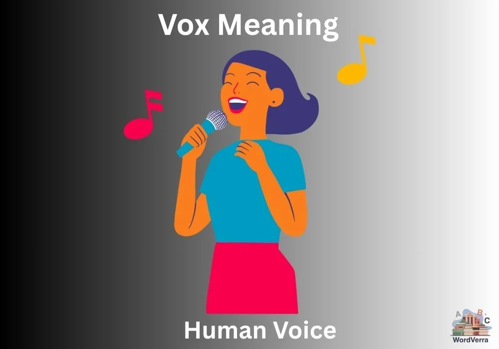 Vox Meaning