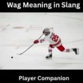 Wag Meaning in Slang