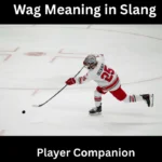 Wag Meaning in Slang