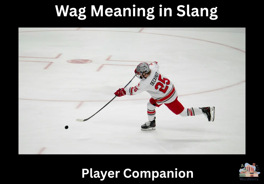 Wag Meaning in Slang