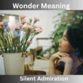 Wonder Meaning