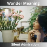 Wonder Meaning