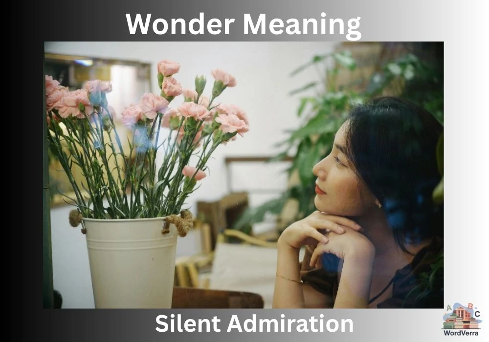 Wonder Meaning