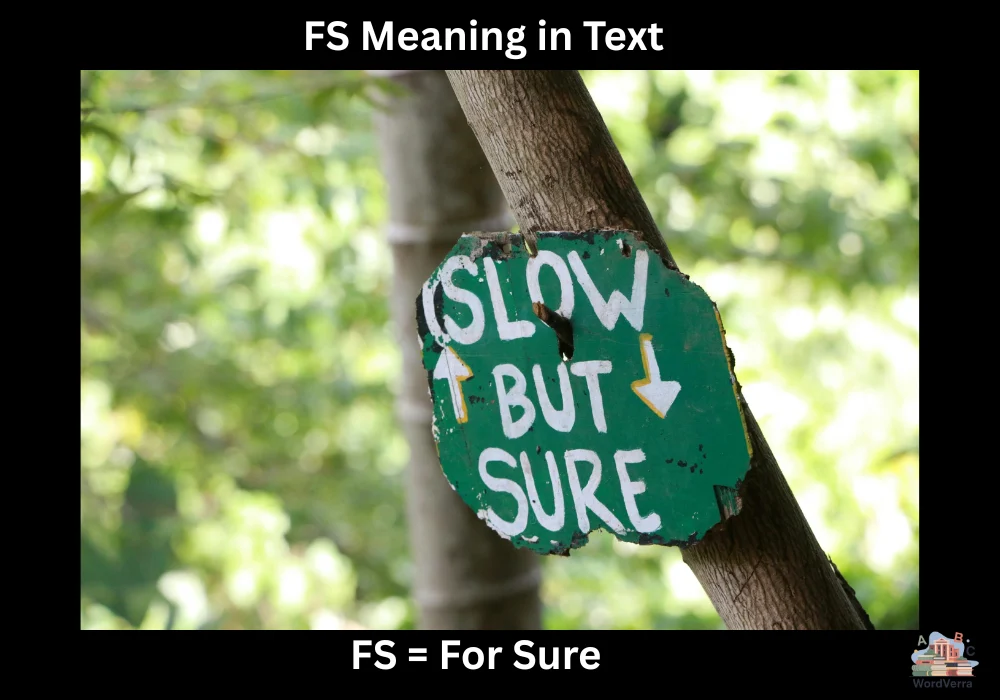 FS Meaning in Text