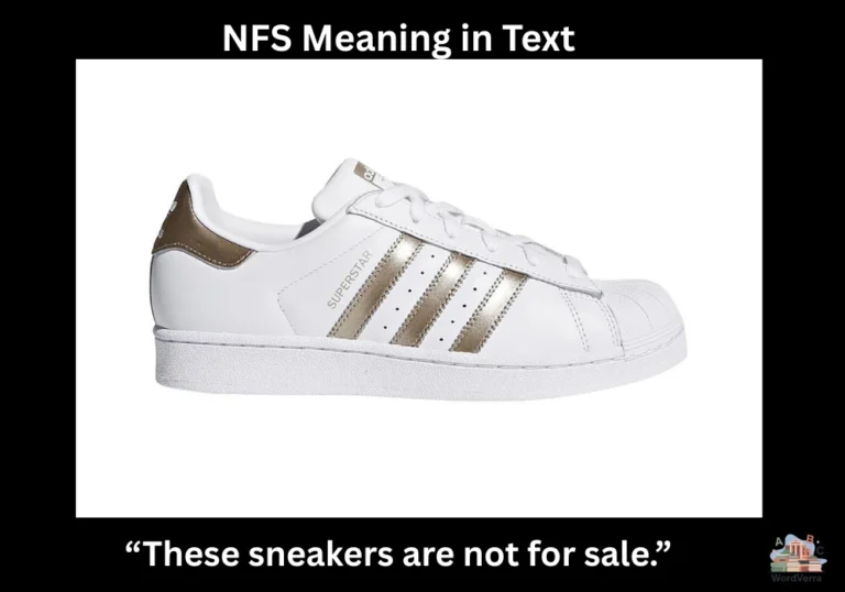 NFS Meaning in Text