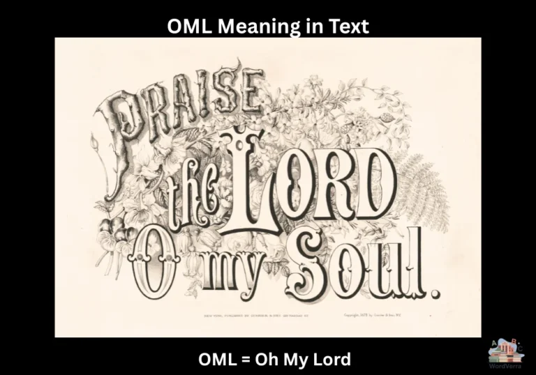 OML Meaning in Text