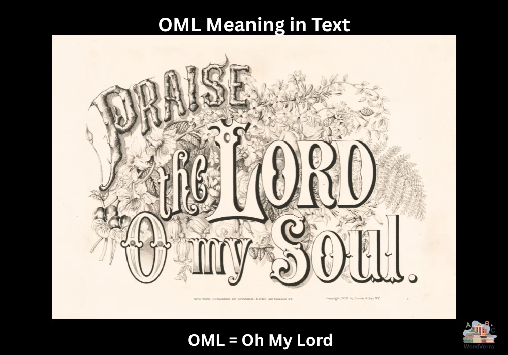 OML Meaning in Text