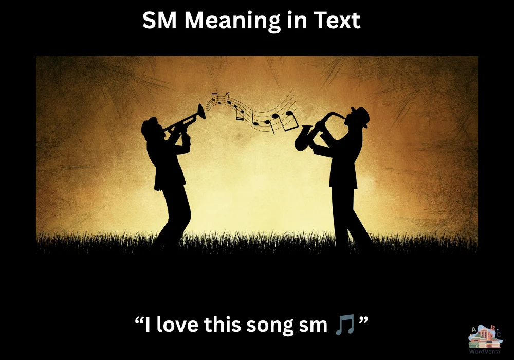 SM Meaning in Text