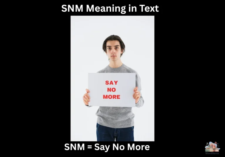 SNM Meaning in Text