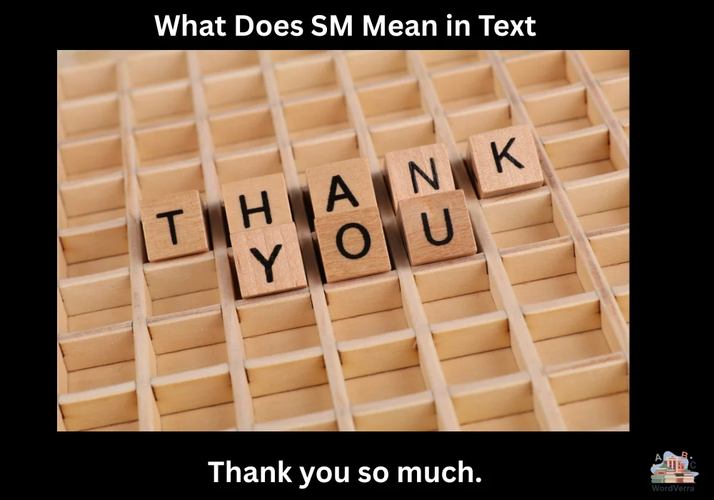 What Does SM Mean in Text