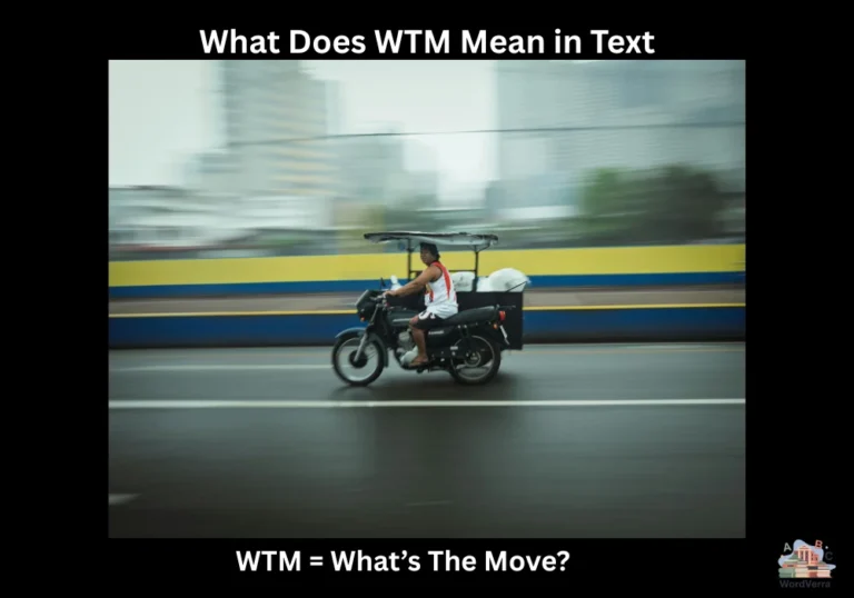 What Does WTM Mean in Text