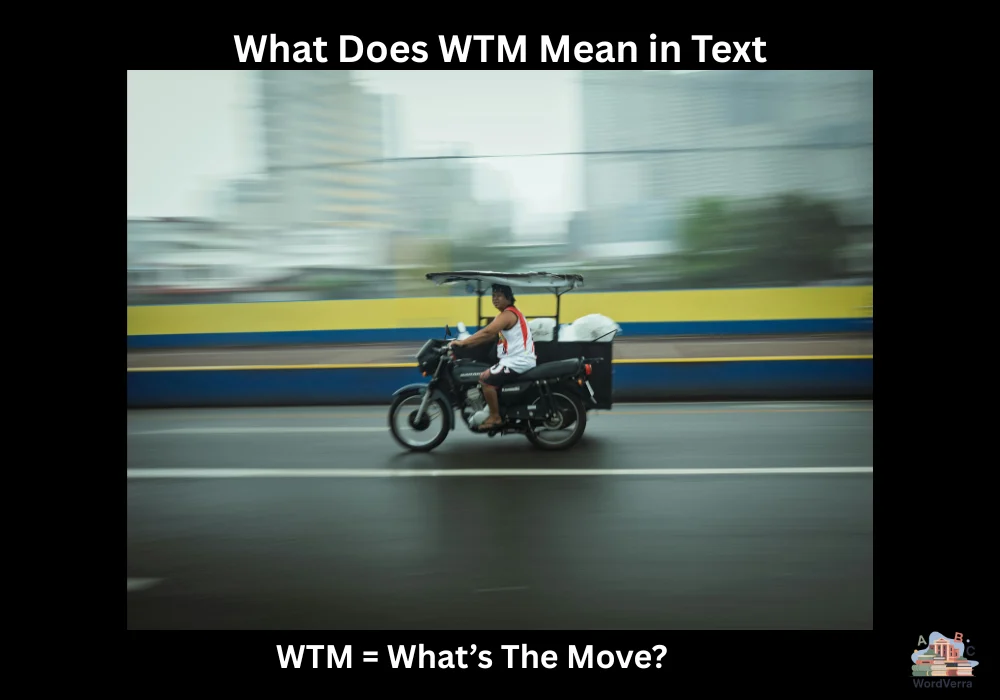 What Does WTM Mean in Text