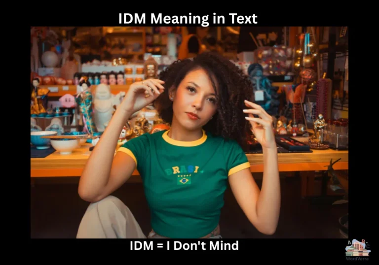 IDM Meaning in Text