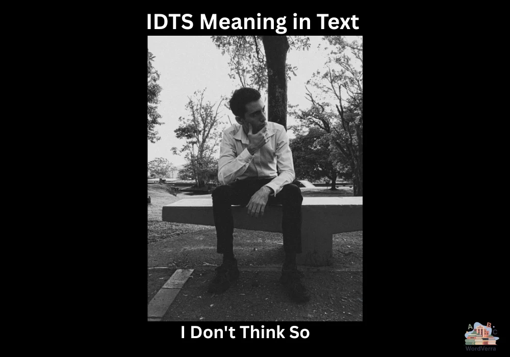 IDTS Meaning in Text