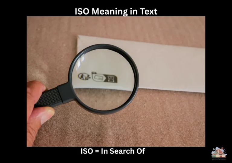 ISO Meaning in Text