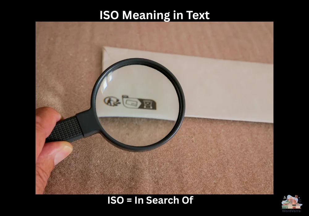 ISO Meaning in Text