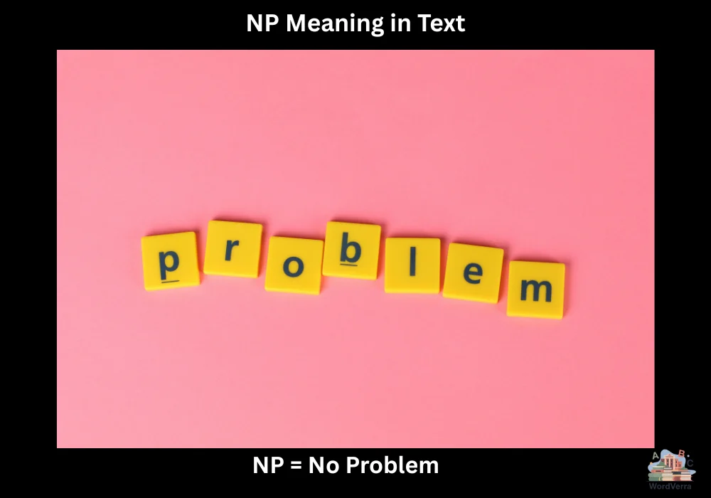 NP Meaning in Text