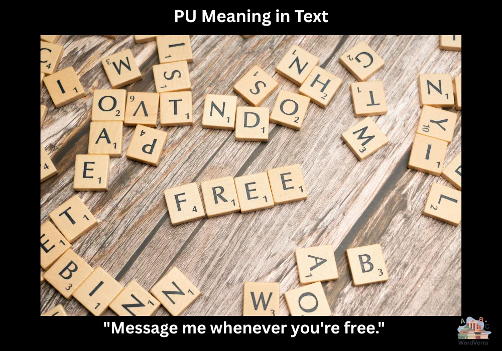 PU Meaning in Text
