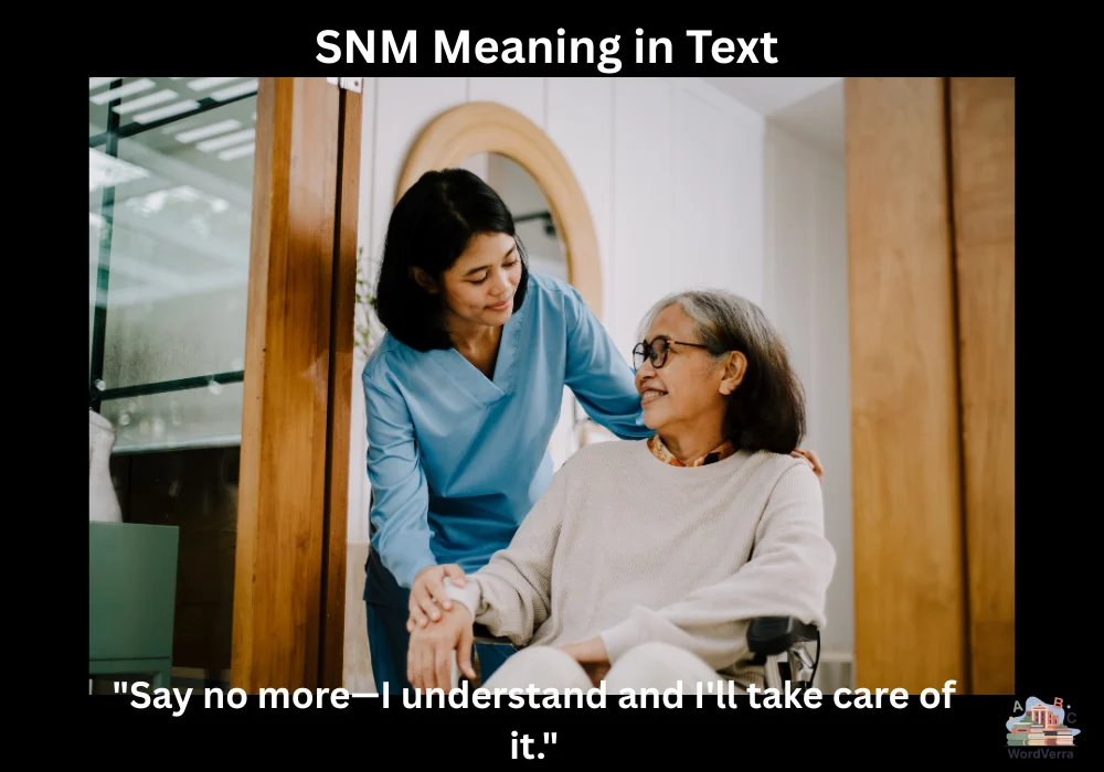 SNM Meaning in Text