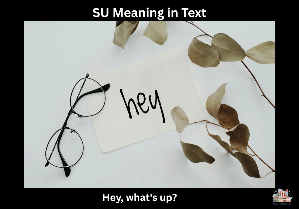 SU Meaning in Text